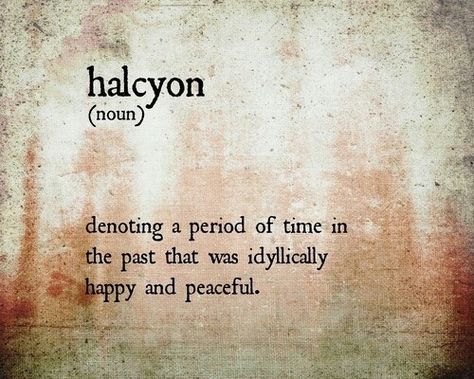 I actually like that word...and its meaning. Halcyon Days, Unusual Words, Rare Words, Word Definitions, Unique Words, Aesthetic Words, Great Words, Favorite Words, Wonderful Words