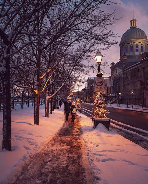 Old Montreal Photography, Montreal Canada Photography, Montreal December, How To Draw Santa, Christmas Light Show, Old Montreal, Welcome Winter, Cottage Christmas, Winter Cabin