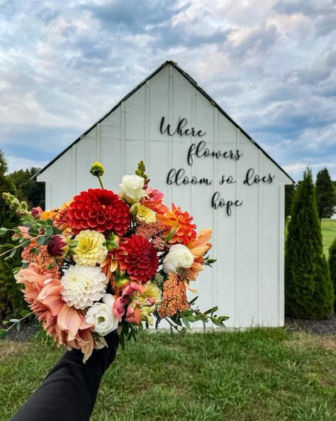 You Pick Berry Farm, Flower Farm Sign, Small Flower Farm Layout, U Pick Flower Farm Ideas, Flower Farm Names, U Pick Flower Farm, You Pick Flower Farm, Flower Farm Aesthetic, Flower Farm Stand