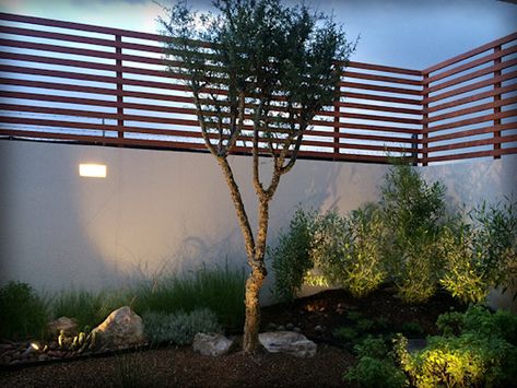 Jardín Nativo en el Campestre, Qro. Jardines rústicos de homify Rústico Fence Design Ideas, Wood Fence Design, Modern Fence Design, Privacy Fence Designs, Living Roofs, Roofing Felt, Types Of Fences, Roof Covering, Pergola With Roof