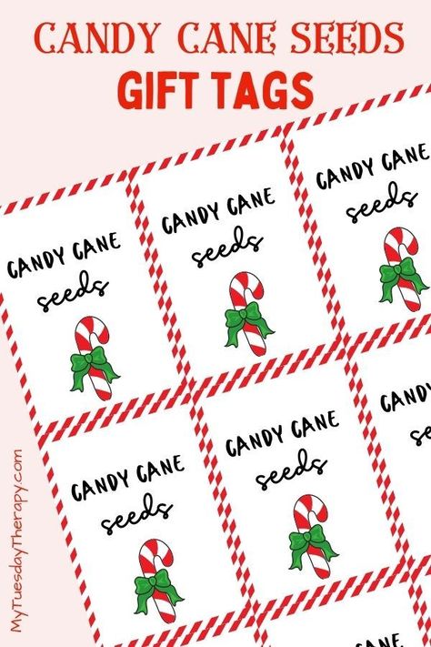 Candy cane seeds gift tags, Free Christmas printable. Neighbor gift ideas. Christmas fun for kids. Advent calendar filler for him or her. Cheap Stocking stuffer for boys and girls. Christmas party favor. Candy Cane Seeds Free Printable, Candy Cane Puzzle Gag Gift Printable, Candy Cane Seeds, Free Printable Christmas Labels, Printable Candy Cane, Free Christmas Labels, Candy Sayings, Candy Cane Poem, Free Christmas Printable