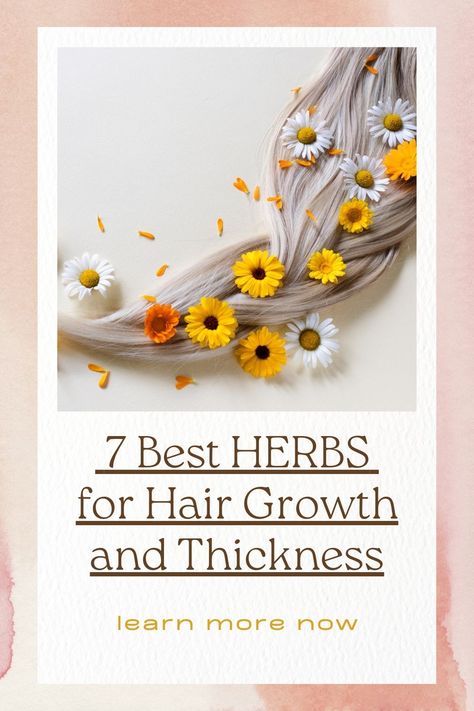 Looking to boost your natural hair growth? Dive into herbs for hair growth as we explore the top 7 herbs that can transform your tresses from limp to luscious. Discover DIY recipes and treatments that'll have your hair thanking you in no time. Let's nurture your mane naturally! 💚 #HairCare #HerbalRemedies #HairGrowth #naturalhairgrowth #hairgrowthtreatment #herbsforhairgrowth Tea For Hair Growth Drinking, Herbs Good For Hair Growth, Best Supplements For Hair Growth, Hair Herbs, Foods For Healthy Hair, Herbs For Hair Growth, Make Hair Grow Faster, Herbal Hair Growth, Natural Hair Growth Remedies