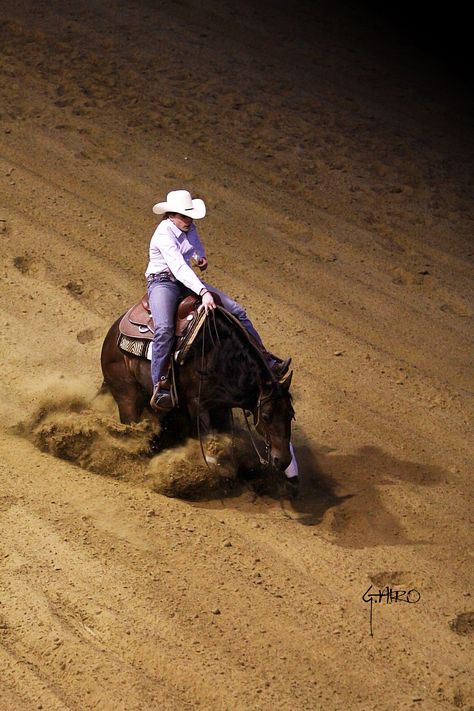 Working Cow Horse, Horse Reining, Cowgirl Pictures, Reining Horses, Western Horse Tack, Western Pleasure, Horse Aesthetic, Western Riding, Most Beautiful Animals