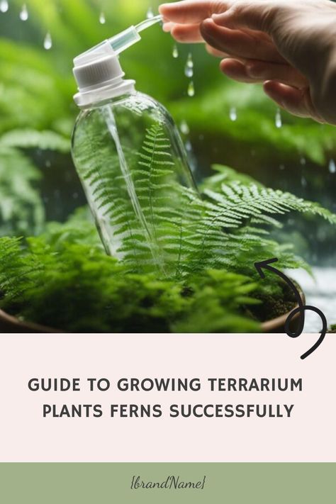 Discover the secrets of growing Terrarium Plants Ferns successfully. Get expert tips and advice to help your ferns thrive in their mini ecosystem. Fern Terrarium, Mini Ecosystem, Rabbit Foot Fern, Beautiful Houseplants, Button Fern, Woodlice, Autumn Fern, Maidenhair Fern, Staghorn Fern