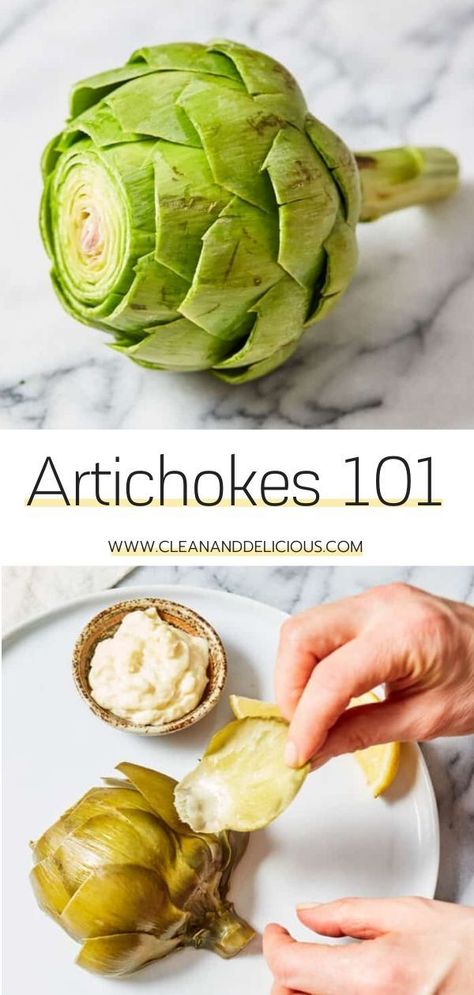 Steaming Artichokes On Stove, Artichoke Snack Recipes, Cooking With Artichokes, What To Eat With Artichokes, How To Bake Artichoke In Oven, Cooking Whole Artichokes, How To Boil Artichokes, Steamed Artichokes How To Cook, How To Eat An Artichoke