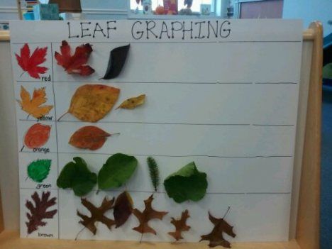 Graphing leaves- great for sorting and leaf identification @ Creative Tots Mason Preschool Leaf Inquiry Kindergarten, Leaf Investigation Preschool, Leaf Investigation, Graphing Games, Leaf Activities, Autumn Preschool Theme, Fall Math Activities, Fall Science, Fall Lesson Plans