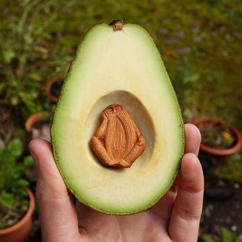 The humble avocado pit has been rescued from the compost bin of obscurity and remade into these magical little sculptures. Avocado Pit, Avocado Art, Avocado Seed, Face Carving, Fruit Carving, Forest Spirit, Forest Creatures, Carving Designs, Pottery Sculpture