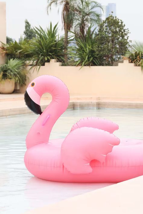 Flamingo Pool Float Funboy Pool Floats, Pink Flamingo Pool, Flamingo Pool Float, Flamingo Float, Flamingo Pool, Pool Floaties, Affordable Swimwear, Backyard Shed, Pool Floats