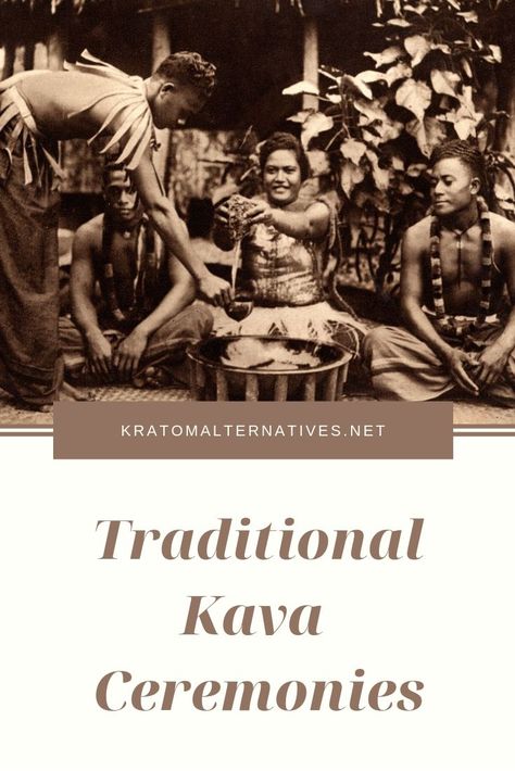 Kava Bar, Kava Kava, Coffee Shop Business, Lounge Decor, South Pacific, The Pacific, In America, The South, To Learn