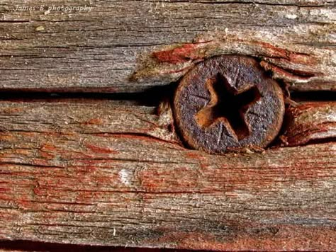 Macro shot of a rusty screw head in a piece of wood. One of the great things about macro photography is that you can find shots in the most unlikely places. Rust Drawing Texture, Machinery Photography, Shells Photography, Texture References, Macro Photography Ideas, Creative Macro Photography, Still Life Sketch, Close Up Art, Aperture Photography