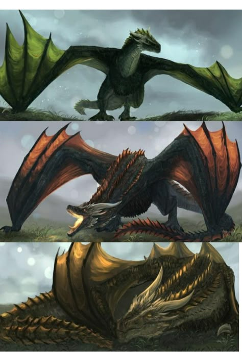 Game If Throne Dragon, House Of The Dragon Dragons Art, Game Of Thrones Dragon Art, Game Of Throne Dragon, Wyvern Art, Asoiaf Dragons, Got Dragon, Wyvern Dragon, Dragon Game Of Thrones