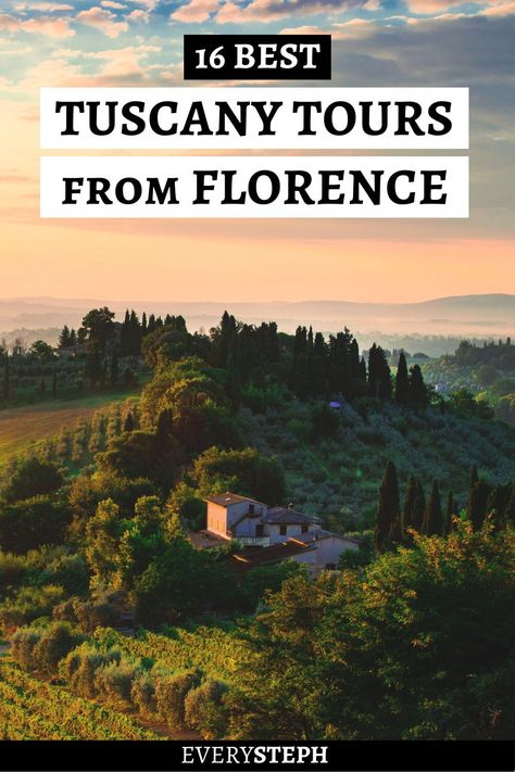 Are you looking for Tuscany tours from Florence? Whether you’re eager to go wine tasting, photograph the landscape, or get lost in medieval walled towns, you’ll find just the tour for you in this post. | Tuscany tours from Florence wine | Tuscany wine tours from Florence | best Tuscany tours | best tours in Tuscany | best Tuscany wine tours | Tuscany from Florence | Tuscany day trips from Florence | best day trips from Florence to Tuscany Florence Wine Tour, Tuscany Wineries, Tuscany Wine Tour, Day Trips From Florence, Tuscany Wine, Things To Do In Italy, Winery Tours, Florence Tuscany, Italy Tours