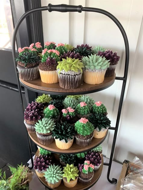 Gender Reveal Ideas Garden Theme, Growth Party Theme, Succulent Gender Reveal Party, Plant Theme Gender Reveal, Succulent Gender Reveal, Baby Shower Succulents, Plant Gender Reveal, Garden Theme Wedding Shower Ideas, Plant Themed Cupcakes