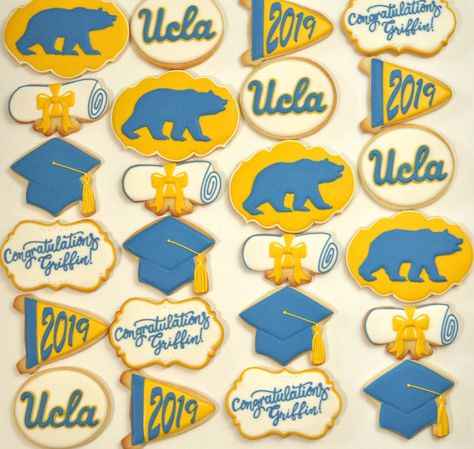 Ucla Cake, Ucla Party Decorations, Ucla Party Ideas, Ucla Party, Ucla Graduation, College Cookies, Ucla Graduation Party Ideas, Phd Graduation, Backyard Graduation Party