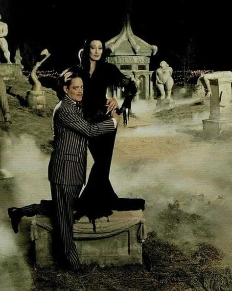 Adams Family Costume, Gomez Morticia, Raul Julia, Morticia Gomez, Morticia And Gomez Addams, Morticia And Gomez, The Adams Family, Gomez And Morticia, Gomez Addams