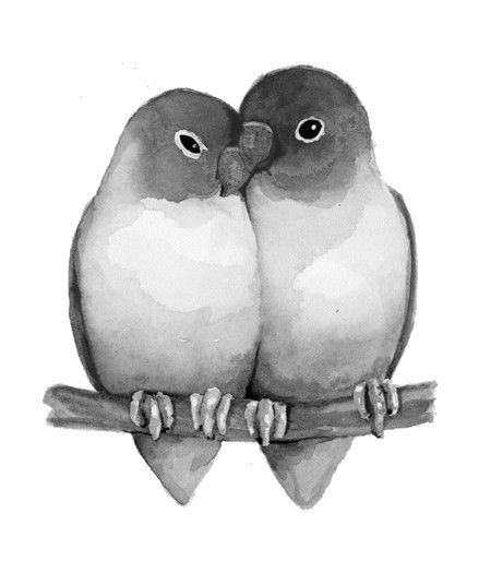 Lovebird Tattoo Couple, Lovebirds Tattoo, Love Bird Drawing, Lovebird Drawing, Love Birds Tattoo, Love Bird Tattoo, Lovebird Tattoo, Love Bird Tattoo Couples, Two Birds Tattoo