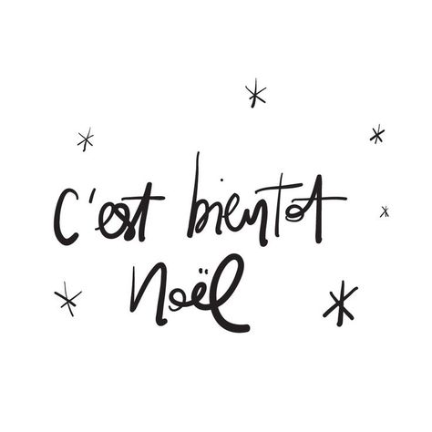 "C'est bientôt Noël" -  "It's almost Christmas" -- so true. And true for Lora Weaver in The Nearly Nixed Noël book:) French Country Christmas, Merry Christmas Quotes, French Christmas, Easy Christmas Decorations, Noel Christmas, Merry Little Christmas, Christmas Quotes, Country Christmas, Merry Xmas