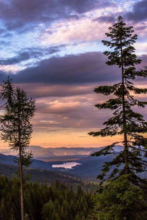 Shared House, Oregon Photography, Scenic Wallpaper, Scenic Photos, Autumn Scenery, Great Pictures, Nature Travel, Amazing Nature, Beautiful Photography