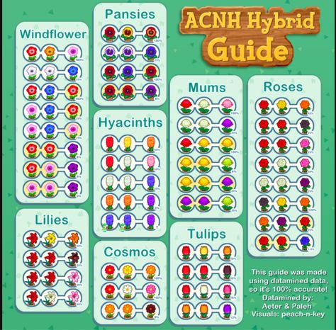 Animal Crossing Hybrid Flower Breeding Guide, Windflower, Pansies, Hyacinths, Mums, Roses, Lilies, Cosmos, Tulips Animal Crossing 3ds, Animals Crossing, Ac New Leaf, Animal Crossing Guide, Animal Crossing Wild World, Qr Codes Animal Crossing, Animal Crossing Villagers, Flower Guide, New Animal Crossing