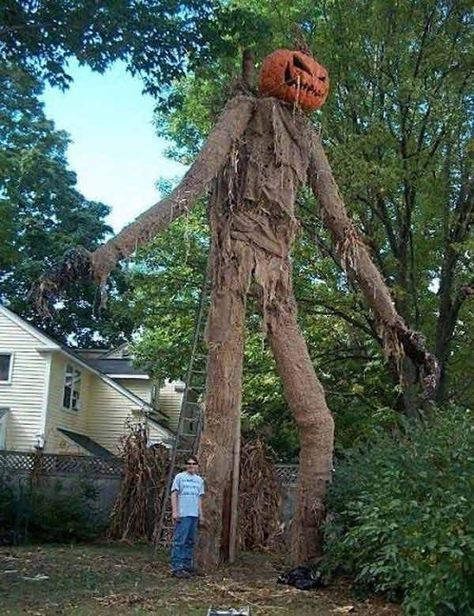 Giant Scarecrow, Diy Halloween Decorations Outdoor Scary, Diy Halloween Window Silhouettes, Halloween Decorations Outdoor Scary, Outside Halloween Decorations, Diy Halloween Decorations Outdoor, Diy Scarecrow, Scary Halloween Decorations Outdoor, Scary Halloween Decorations Diy