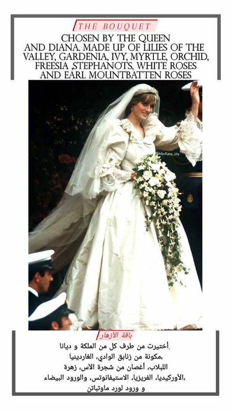 Princess Diana Wedding Bouquet, Princess Diana Bouquet, Diana Wedding Bouquet, Diana Princesa, Queen Diana, Princess Diana Wedding, Diana Wedding, Princess Diana Fashion, Princess Diana Pictures