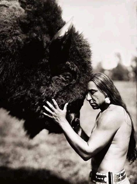 Native American Photography, Native American Spirituality, Native American Wisdom, American Indian History, Native American Images, Native American Men, American Photo, Native American Pictures, Native American Quotes