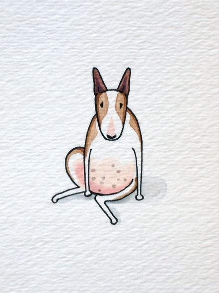 Bull Terrier sitting)) #Bull #Terrier #Dogs #Dog #Animals #Terriers #Pets #Pups #Cute #Funny Mark Watson, Bull Terrier Art, Sitting Bull, Friends Illustration, Sitting Position, English Bull Terriers, Funny Illustration, Bull Terriers, Bull Terrier Dog