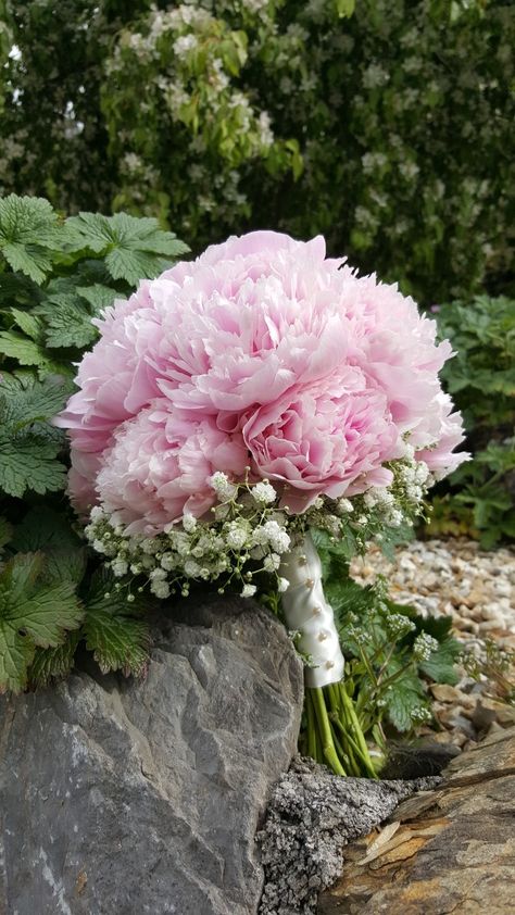 #pink #peony bouquet #gypsophila Pink Peony Bouquet, Wedding Cake Peonies, Gypsophila Bouquet, Pink Peonies Bouquet, Peony Bouquet, Peonies Bouquet, Pink Peony, Pink Collection, Pink Peonies