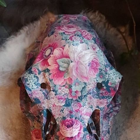 Ossium Artis on Instagram: "New in the shop- floral decoupage deer skull 🖤 She's a beauty, and can go on display on a side space or on the wall 🖤 . . . . . . . . #taxidermy #vultureculture #beautyindeath #deadstuff #boneartist #deadthings #deerskull #boneart #deer #homedecor #antlers #homedecoration #decorative #heathen #oddities #curios #deadanimals #decoupageart #odditiesandcuriosities #osteology #mementomori #macabreart #paintedskull #decoupage #vulturecultureart #pagandecor #vikinglife #cu Decoupage Deer Skull, Floral Decoupage, Pagan Decor, Viking Life, Taxidermy Art, Vulture Culture, Deer Skull, Bone Art, Macabre Art