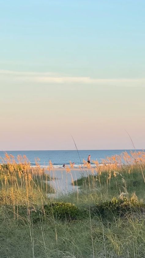 the summer i turned pretty | tsitp | wallpaper | cousins beach | the summer i turned pretty wallpaper Tsitp Aesthetic, Cousins Beach, Belly Conklin, Carolina Do Norte, Cape Cod Beaches, Beach Grass, Coastal Summer, The Summer I Turned Pretty, July Baby