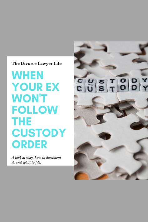 Custody Documentation, What To Wear To Court For Custody, Custody Binder For Court, Parenting Plan Custody Template, Custody Battle Tips Mom, Parenting Plan Custody Coparenting, Child Custody Documentation, Custody Battle Tips For Dads, 2-2-5-5 Custody Schedule