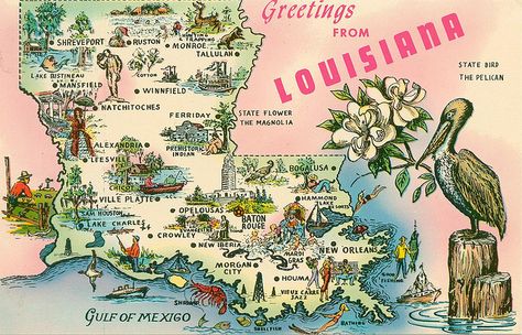 Louisiana map postcard by Honijeaux, via Flickr Louisiana Travel, Louisiana Map, Lake Charles, Travel Maps, State Map, Down South, Vintage Maps, Vintage Postcard, Post Cards