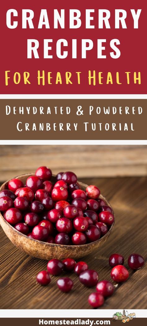 Heart healthy cranberry recipes & tutorials l How to make cranberry powder, plus cranberry chocolate pancakes, and more for holiday recipes! #Cranberries Recipes For Cranberries, Recipes Cranberries, Fresh Cranberry Recipes, Cranberry Chocolate, Cranberry Powder, Recipes Tutorials, Fresh Cranberry, Healing Foods, Chocolate Pancakes