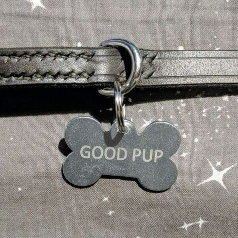 Pet Play Area, Puppy Time, Pet Spaces, Puppy Play, Little Puppies, Girly Things, A Dog, We Heart It, Choker