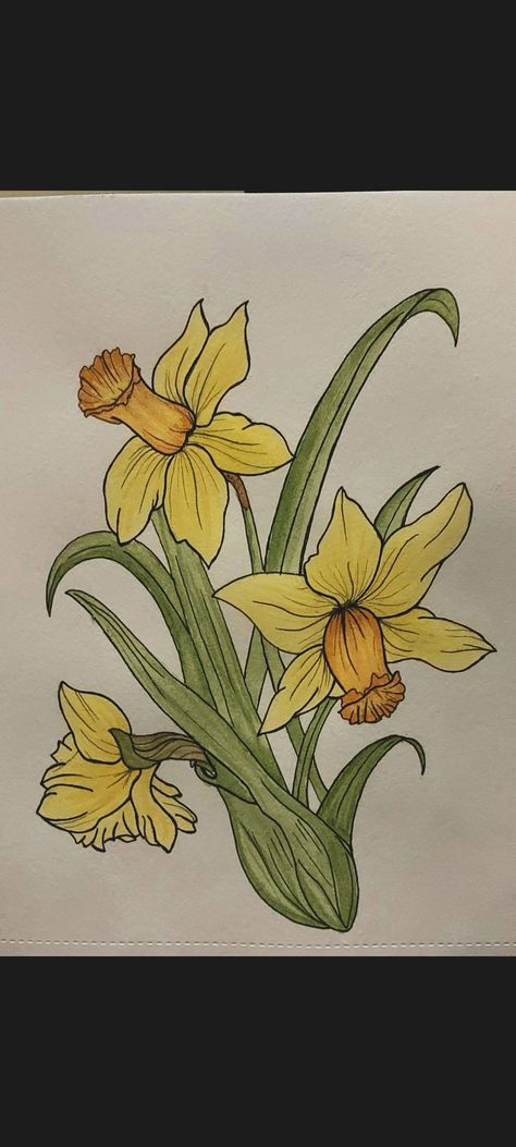 Daphodil Flower Drawing, Hand Drawn Daffodil, Drawing Of Daffodils, Dafadills Flowers Drawing, Daffodil Painting Acrylic Easy, Easy Daffodil Drawing, Daffodil Painting Easy, Yellow Roses Drawing, Easter Flowers Drawing