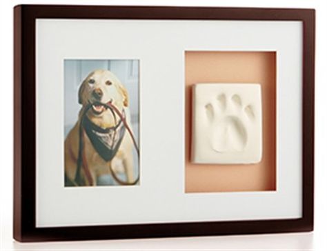 PAWPRINTS PAW IMPRESSION KIT & PICTURE WALL FRAME for DOG CAT MEMENTO ESPRESSO Lou Dog, Pet Memorial Picture Frame, Pet Paw Print, Pet Keepsake, Cat Paw Print, Labrador Retrievers, Cat Memorial, Cat Paw, Pet Paws