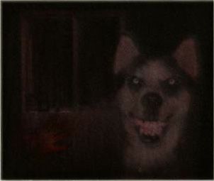 Smile Dog, Scary Images, Scary Photos, Creepy Core, Smile Pictures, Creepy Photos, Creepy Images, Dog Died, Creepy Pictures