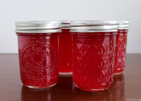 Easy Wild Plum Jelly Recipe - Bren Did Wild Plum Jelly Recipe, Wild Plum Jelly, Plum Jelly Recipe, Plum Jam Recipes, Plum Juice, Wild Plum, Hot Pepper Jelly, Plum Recipes, Apple Jelly