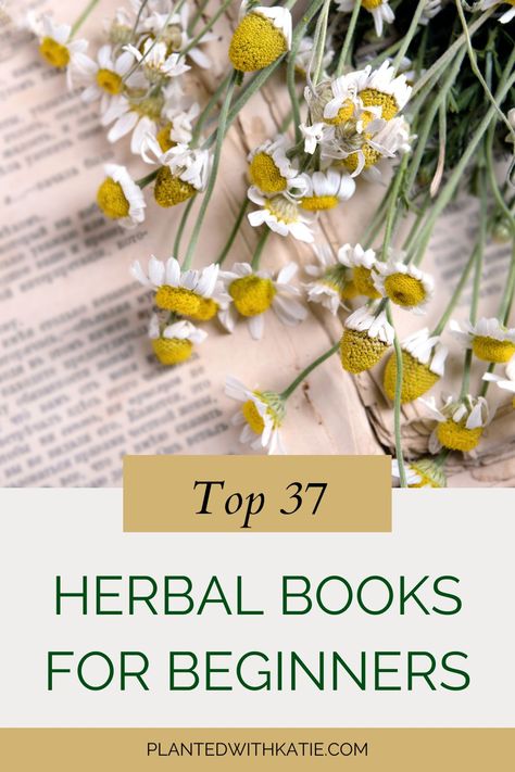 Herbal Books for Beginners Beginners Guide To Herbalism, Free Herbalism Courses, Herbalism 101, Herbalism Books, Beginner Herbalist, Herbalism For Beginners, Herbalist Recipes, Herbal Books, Herbs Medicine