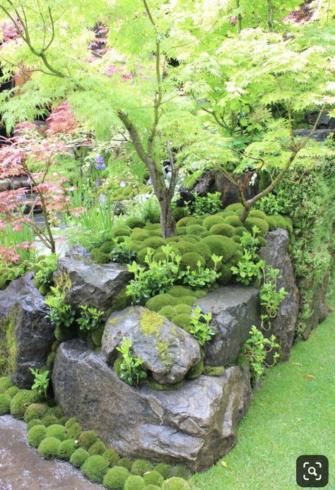 Rockery Garden, Small Japanese Garden, Japanese Garden Landscape, Rock Garden Design, Japanese Garden Design, Asian Garden, Moss Garden, Rock Garden Landscaping, Have Inspiration