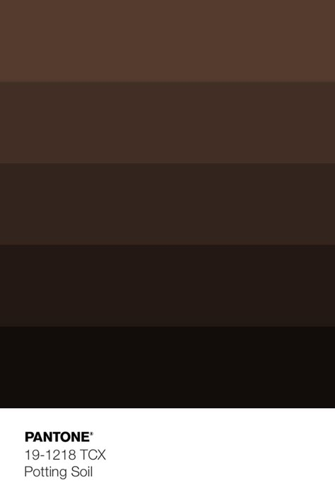 Shades Of Chocolate, Brown Colour Scheme, Cocoa Colour Palette, Dark Brown Color Scheme, Brown Pallet, Rich Brown Color Palette, Chocolate Colour Palette, Dark Circus Color Palette, Brown Poster