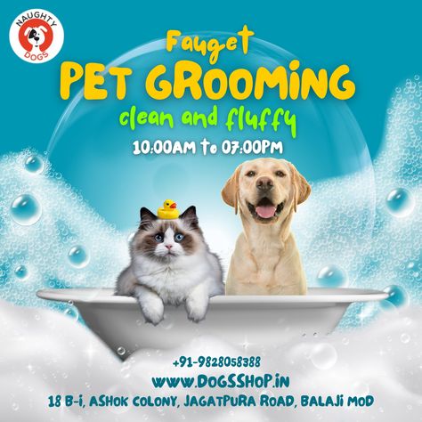 At Naughty Dogs , we offer top-notch pet grooming services for dogs and cats of all breeds and sizes. From basic baths to full grooming sessions, our experienced groomers will ensure your pet is clean, healthy, and looking their best. Our grooming services include: 🛁 Bathing and shampooing 💇‍♀️ Haircuts and trims 🐾 Nail trimming and filing 👀 Ear cleaning 🦷 Teeth brushing 🐱 Cat grooming We use only the best products and techniques to ensure your pet's safety and comfort throughout Salon On Wheels, Dog Grooming At Home, Pet Daycare, Mobile Pet Grooming, Small Dog Accessories, Teeth Brushing, Pet Grooming Salon, Socializing Dogs, Dog Behaviorist