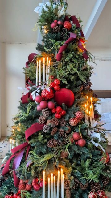 Floating Candles Christmas Tree, Christmas Tree With Fruit Decorations, Floral Decorated Christmas Trees, Greenery In Christmas Tree, Extra Large Ornaments On Tree, Traditional Christmas Tree Topper, Williamsburg Christmas Tree, Christmas Tree Red Velvet, Cypress Christmas Tree Decorated