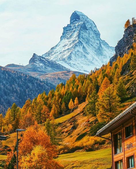 17.9 k mentions J’aime, 151 commentaires - SWITZERLAND VACATIONS 💯% 🇨🇭 (@switzerland.vacations) sur Instagram : "🍁🏔🍂🍁 Majestic Matterhorn (📷: @syifa_in_switzerland) #Switzerland_Vacations 🇨🇭" Fall In Switzerland, Magic Elements, Matterhorn Switzerland, Switzerland Mountains, Switzerland Photography, Switzerland Vacation, Ecological House, Zermatt Switzerland, Black Quotes