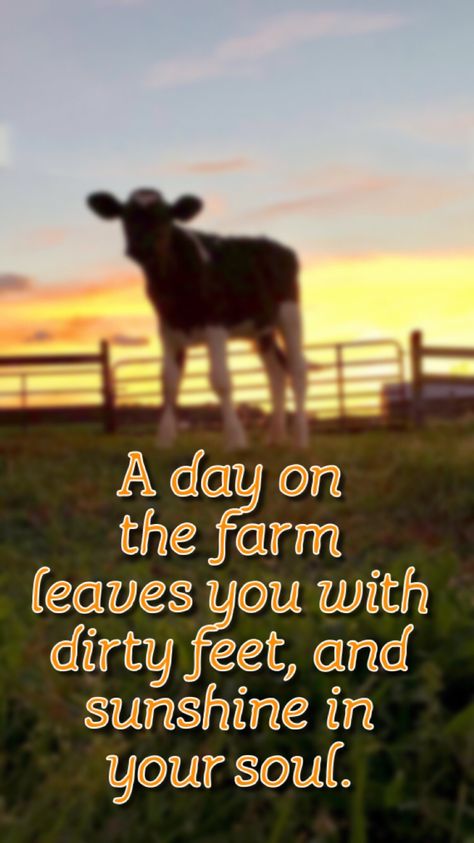 Farm Sayings And Quotes, Farm Life Quotes Inspiration, Farm Kid Quotes, Farm Quotes Inspirational, Farm Quotes Funny, Quotes About Farmers, Farmer Quotes Farm Life, Cow Jokes, Country Life Photography