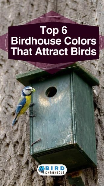 Front Yard Bird Sanctuary, Birdhouse Plans Free, Unique Bird Houses Diy Birdhouse Designs, Painting Birdhouses Ideas, Cute Birdhouse Painting Ideas, Bird Houses Diy Painted, Unique Bird Houses Diy, Birdhouse Painting Ideas, Finch Bird House