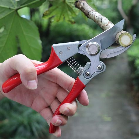 TOOLMOOM Professional Hand Pruners ** For more information, visit image link.-It is an affiliate link to Amazon. Garden Knife, Retro Throw Pillows, Garden Rake, Apple Iphone Wallpaper, Apple Iphone Wallpaper Hd, Video Garden, Garden Shears, Tree Trimming, Must Have Tools