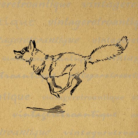 Image Graphic, Vintage Clip Art, Vintage Fox, Fox Illustration, Antique Artwork, Images Vintage, Clip Art Vintage, Fox Art, Vintage Clip