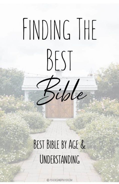 Bibles For Men, Bibles For Women, Bible For Women, Christian Quotes For Women, Women's Bible Study, Level Of Understanding, Bible Studies For Beginners, Titus 2, Free Bible Study