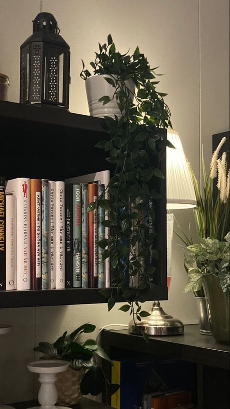 Black Shelves Bedroom, Aesthetic Bookshelves, Black Bookshelves, Black Wall Shelves, Aesthetic Plants, Bookshelf Ideas, Black Bookcase, Black Shelves, Black Room